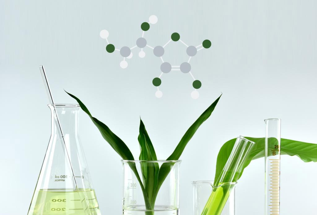 Active Ingredients for Cosmetics