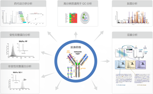 Biopharmaceutical Characterization Analysis Tool: Enzymes