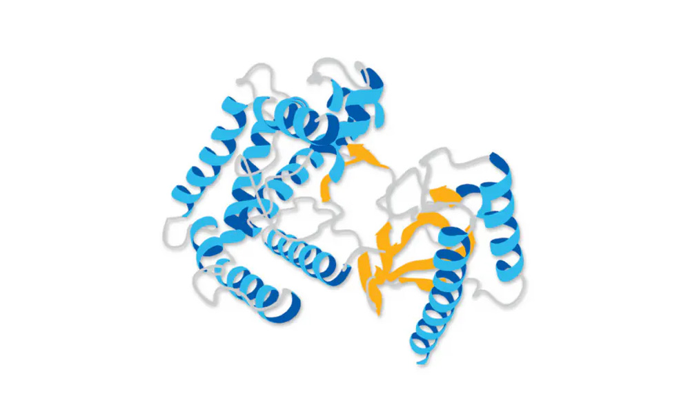 Highly Active Recombinant Humanized Collagen Type III 