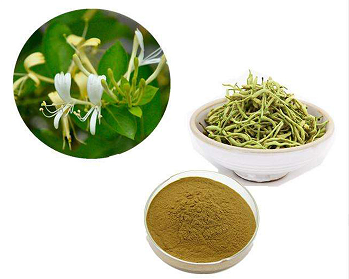  Chinese herb extracts