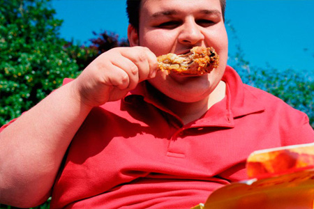 Some guts are better than others at harvesting energy