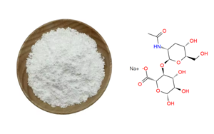 Hyaluronic Acid: Efficacy and Applications