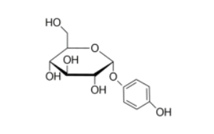 α-Arbutin (CAS: 84380-01-8)：Its PhysioChemical Properties and Application Scenarios 
