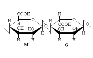 Alginate Oligosaccharide: Exploring Multifaceted Applications
